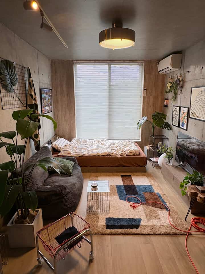A modern 1K studio featuring gray concrete walls, wood-toned flooring, a bed, dark brown sofa, and plants creating a cozy atmosphere