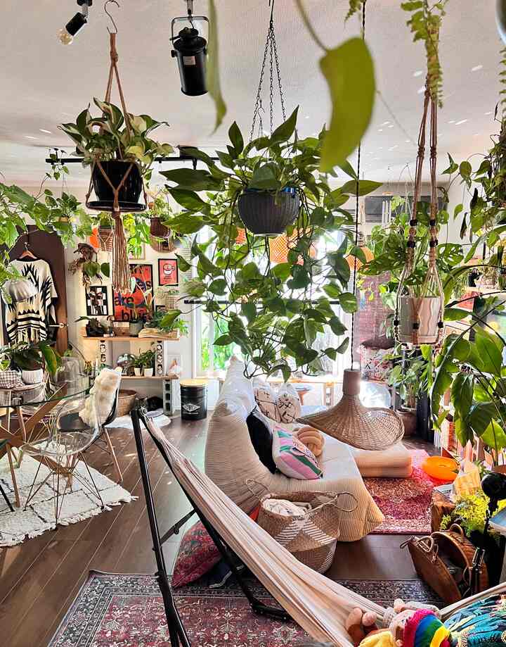 植物は、床に置くだけじゃなく
吊るして楽しむのも好き🌿

ハンギンググリーンを取り入れると、
上の空間まで使えて
部屋に奥行きが出る気がする。

植物のある暮らし、やっぱり落ち着く。

#Ohouse
#オーハウス
#植物のある暮らし
#観葉植物
#ハンギングプラント
#グリーンインテリア
#ボーホーインテリア
#ナチュラルインテリア
#リビングインテリア
#インテリアコーディネート
#マイホーム
#家づくり