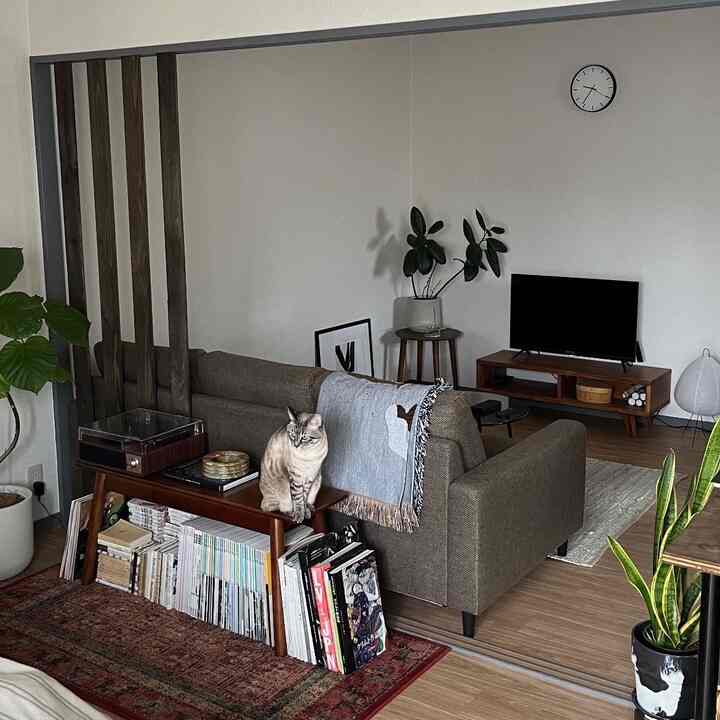 アイテムが増え、模様替えをして、
さらにお気に入りの空間になった我が家 🏠‎🤍
お家で、一番好きな眺め

また少しずつ投稿していきます💁‍♀️🐱

#リビング #賃貸インテリア #ジャパンディ
#ミッドセンチュリー #北欧ヴィンテージ
