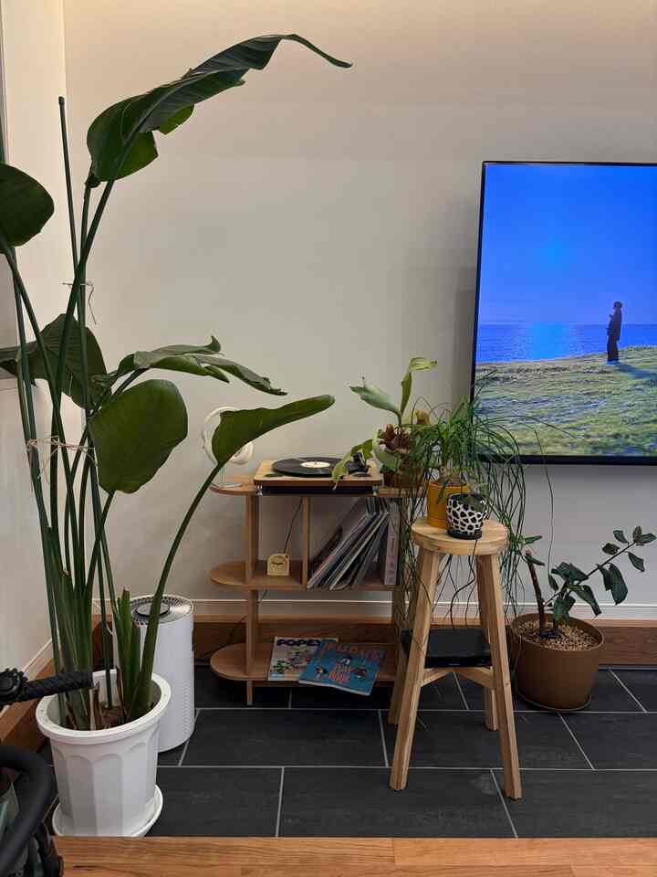 Natural-toned living room featuring a wooden shelf and stool adorned with plants, creating a relaxing atmosphere