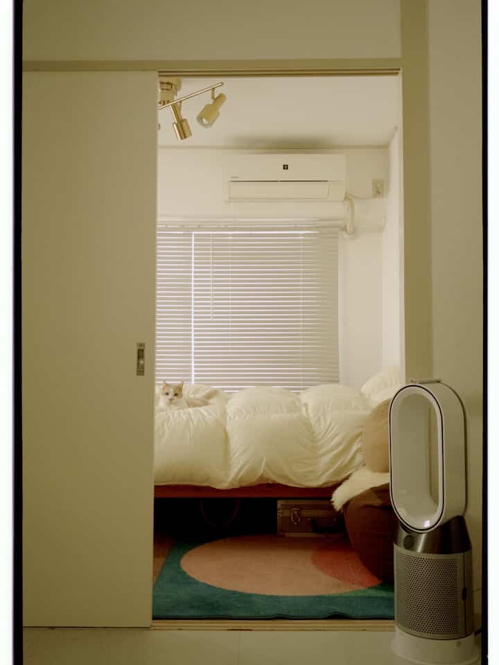 White-toned 1DK bedroom featuring window blinds and a cozy bed with a cat resting on the white comforter