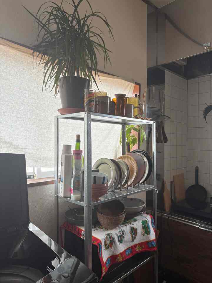 Kitchen veranda space featuring silver metal shelf and white window curtain, complemented by green plants and cozy storage