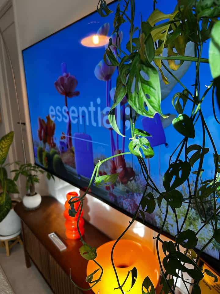 光と影を楽しむ秋の午後 🍂

秋の昼下がり、窓から差し込むやわらかな光。テレビまわりの植物やオブジェに光が当たって、壁に落ちる影までインテリアの一部みたいに。

時間とともに少しずつ表情が変わっていく、この時間のリビングが好きです🌿オレンジやブラウンのあたたかい色も、秋の光によく似合う。

#ミッドセンチュリー #大人ポップ #レトロポップ #マンション暮らし #リビング #観葉植物 #グリーン #植物のある暮らし #レザーソファ #ガラステーブル #アートポスター #照明 #間接照明 #テレビボード #秋の暮らし #3LDK