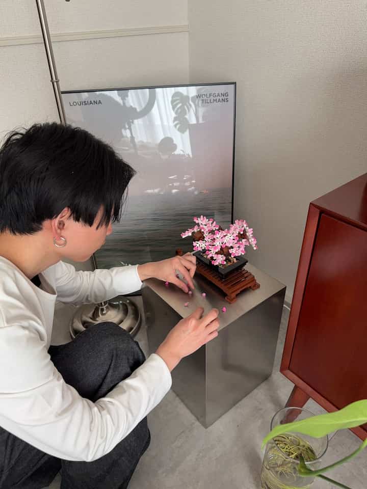 ずっと桜でも良いくらい綺麗。
落ち着いた色ばかりのうちには良い差し色。
#大人レゴ #LEGO #モダンインテリア #モノトーンインテリア #差し色アイテム #盆栽