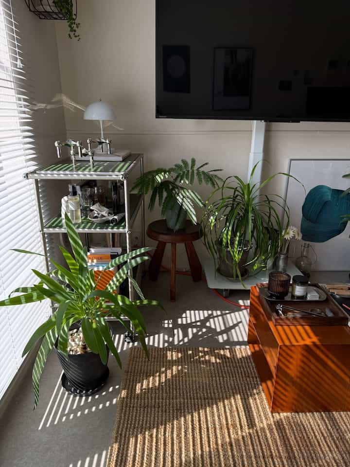 秋晴れ

#観葉植物　#モジュール家具　#ラグ　