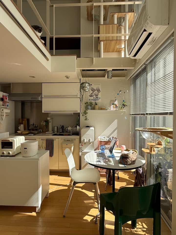 White and natural wood tone maisonette kitchen and living room featuring a cat and cat tower in a cozy space