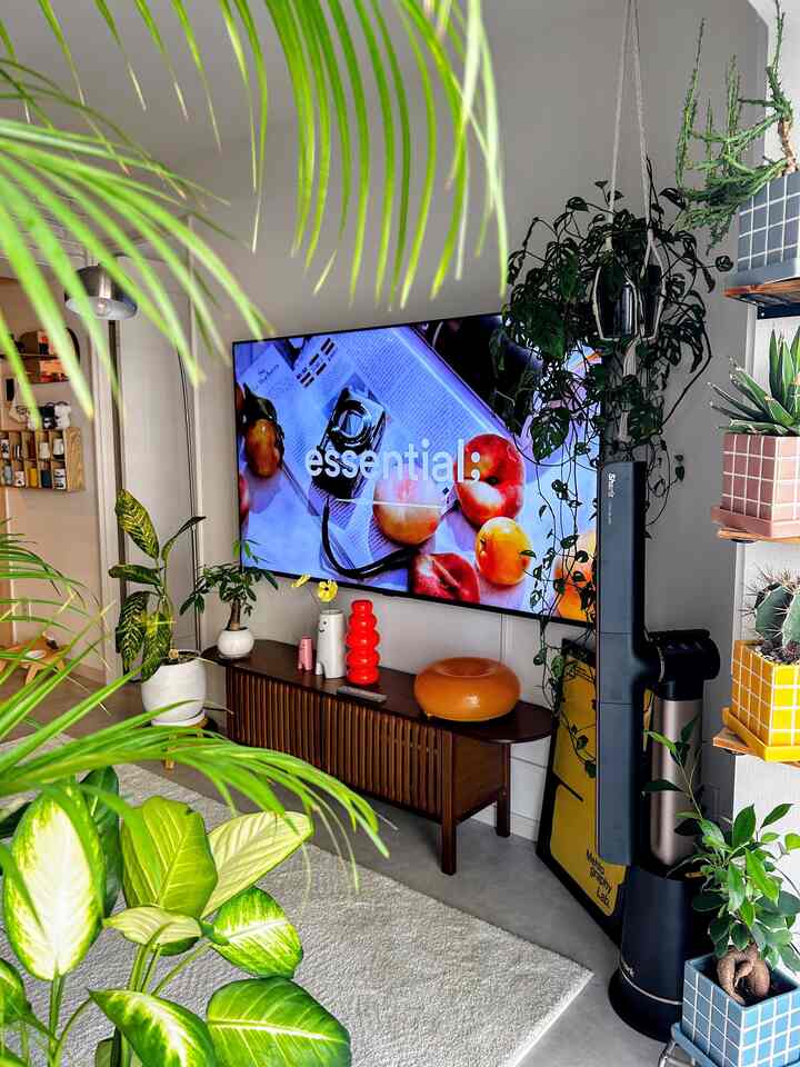 「テレビと、植物と、好きな色。」

わが家のお気に入りのテレビ周り。

大きなテレビは壁掛けにして、足元はすっきり。ウッドのテレビボードを合わせて、植物や照明、アートなど、好きなものを少しずつ集めています。

テレビ周りは、グリーンをたっぷりと。そこにオレンジやイエローを差し色にして、わが家らしい大人ポップな空間に仕上げました。

テレビ横から垂れる植物や、窓際に並べた植物たちもお気に入り。自然光が入ると、植物の影までインテリアの一部になります。

テレビを観るためだけの場所ではなく、何もつけていない時間も眺めていたくなる。そんなテレビ周りを目指しています。

#テレビ周り #壁掛けテレビ #テレビボード #リビング #リビングインテリア #ミッドセンチュリー #大人ポップ #カラフルインテリア #海外インテリア #観葉植物 #植物のある暮らし #照明 #間接照明 #アートポスター #ウッド家具 #3LDK