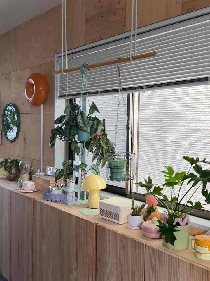 Cozy interior space featuring wood tone walls and white blinds with a windowsill shelf displaying various plants and a yellow mushroom-shaped lamp