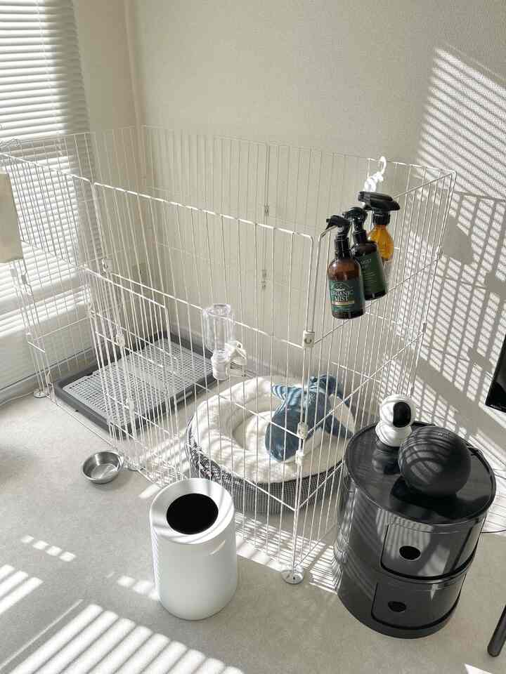 擬似しやすいお家🏠

#ペット

#カラフル　#犬と暮らすお家
#スタンダードプロダクツ
#2K
#2人暮らし
#犬がいる生活
#ロゼトーゴ
#リーンロゼ
#チェスカチェア
#IKEA
#IKEA照明
#IKEA棚 
#ペット