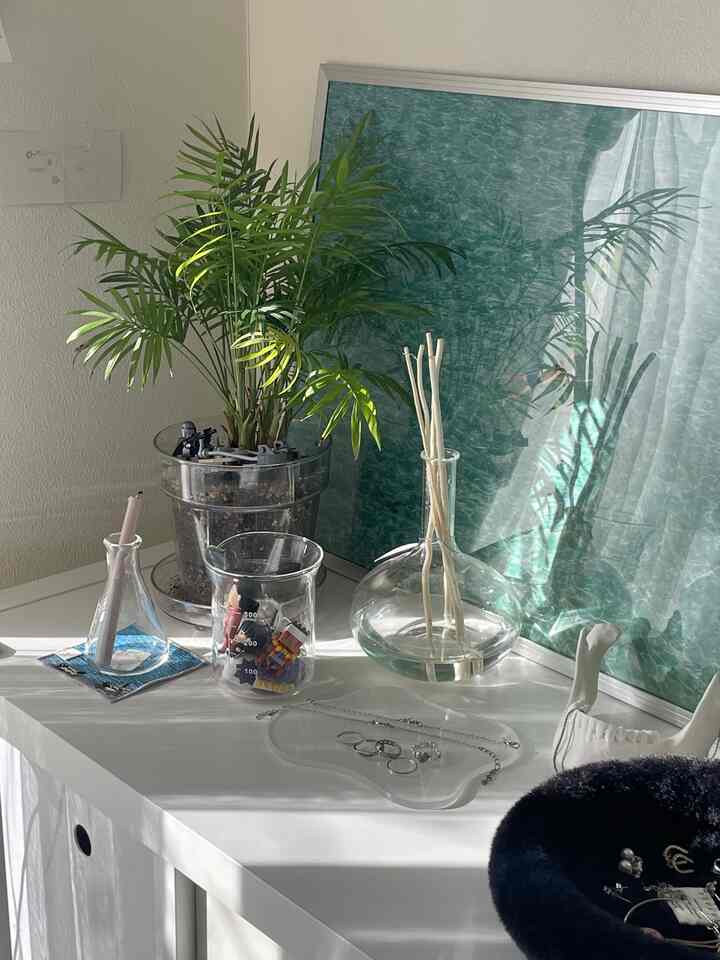 #チェスト　#キャビネット　#ディスプレイ
#寝室　#推し活　#観葉植物