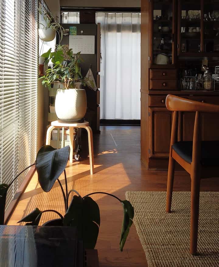 Autumn sunshine 🍂
#Life with houseplants #築古物件 #築古賃貸 #レトロ雑貨
#Rental interior #ジブリ好きインテリア #海外インテリア
#interior #interiordesign #livingroomdecor #greeninterior #cozyhome #cozyliving #ikea