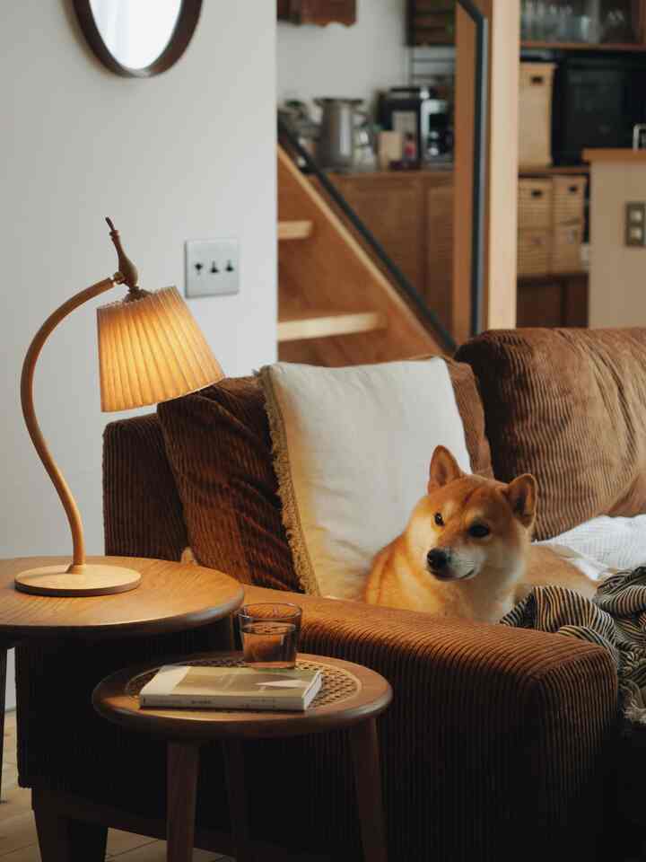 コンセントなしでどこでも使えるポータブル照明がお気に入り💡