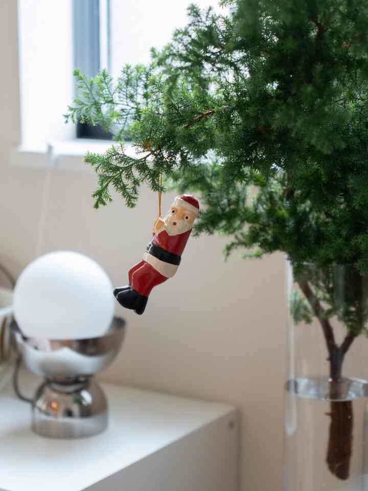 ちょっとはやいけどクリスマス支度をほんの少し。
我が家はクリスマスツリーがないので
木枝を買って、サンタさんをつるしてみた。
このサンタさん、シュールで大好き🎅
#クリスマス支度 #クリスマスディスプレイ