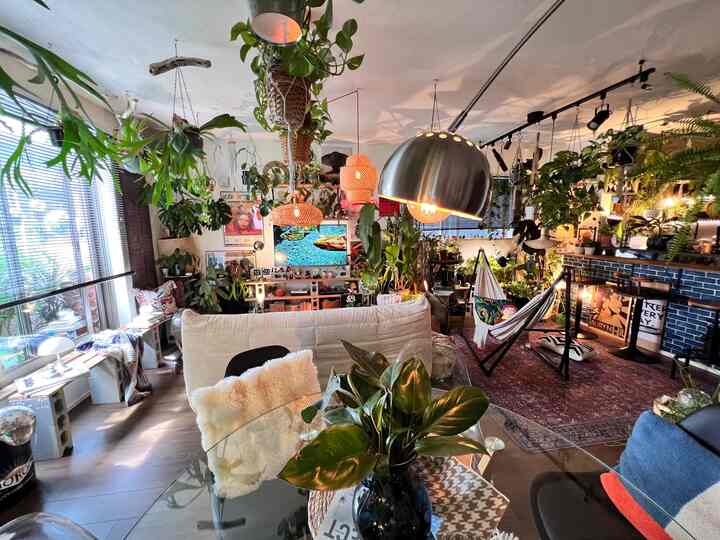 植物と好きなものに囲まれたリビング。

ミッドセンチュリーの雰囲気に、
ラタンやヴィンテージラグ、
たくさんの植物をミックス。

ひとつのスタイルに決めすぎず、
好きなものを組み合わせた我が家のインテリア。

#ダイニングインテリア
#リビングインテリア
#ミッドセンチュリーインテリア
#ボーホースタイル
#観葉植物のある暮らし