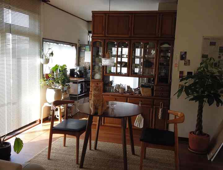 #観葉植物のある生活 #築古物件 #築古賃貸 #レトロ雑貨
#Rental interior #ジブリ好きインテリア #海外インテリア
#interior #interiordesign #livingroomdecor #greeninterior #cozyhome #cozyliving #ikea