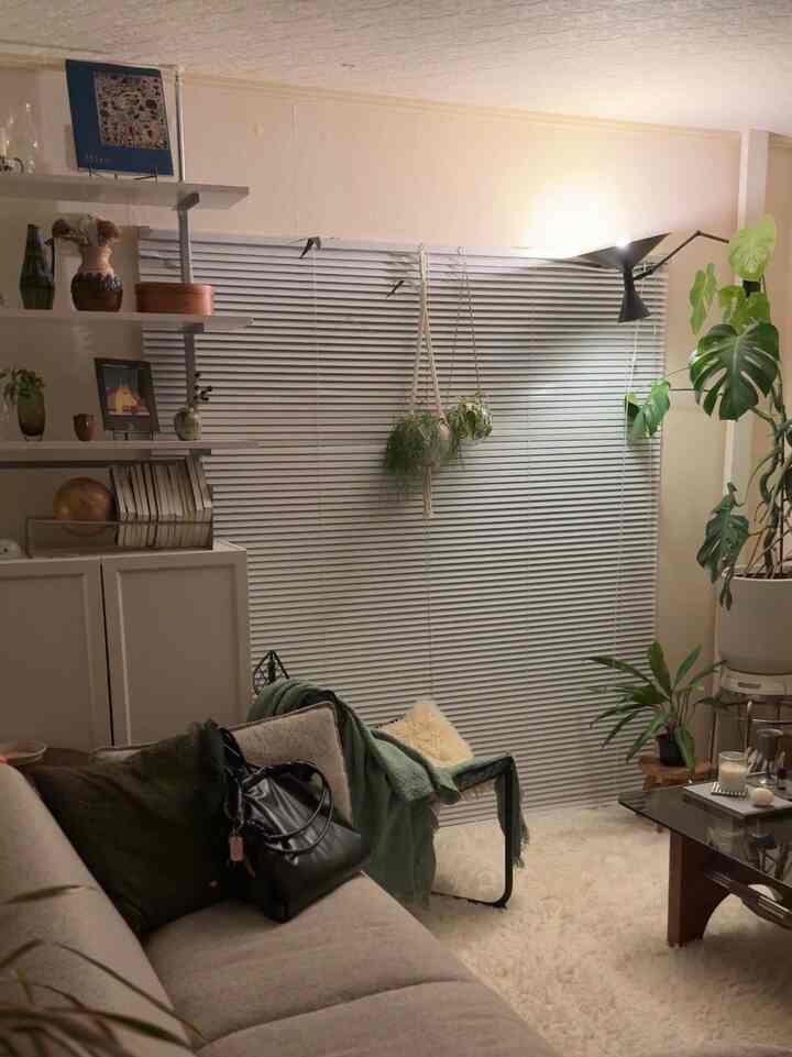 ただいま〜🙌🏻の瞬間をパシャ📸

#interior #sofa #housegreen #interiorgreen