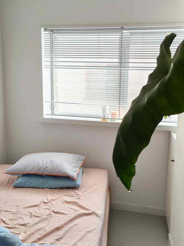 明るいホワイトトーンの寝室、ベッドと枕が配置された清潔感のあるナチュラルな空間