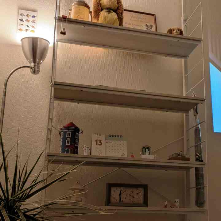 棚をやっと買った
#ニトリ
#IKEA 
#MOOMIN