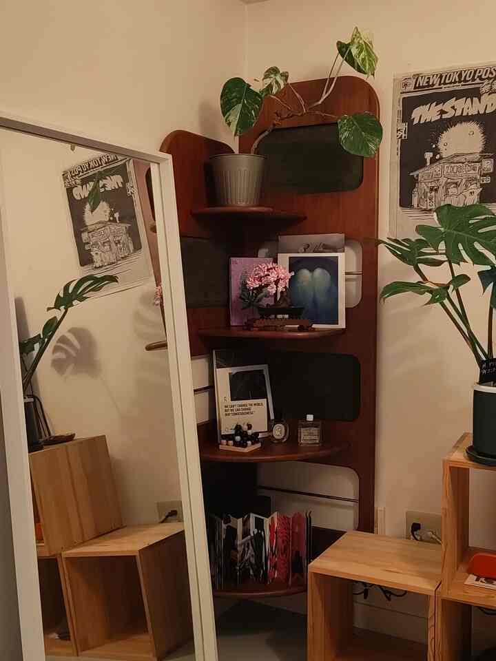 木目調と植物が調和したコーナーシェルフと鏡が配置されたナチュラルな狭い部屋の印象的な空間