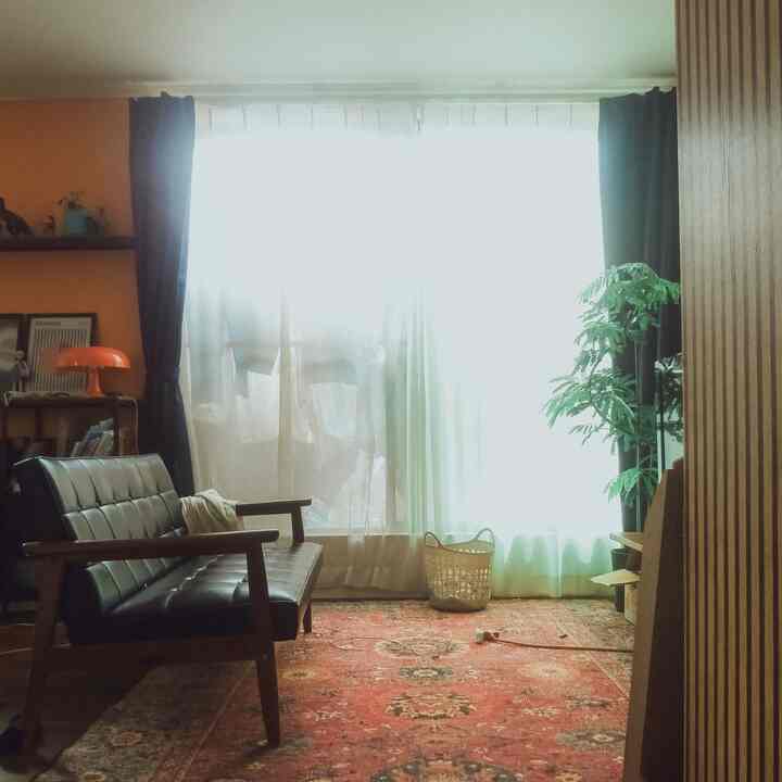 オレンジ色の壁と黒いレザーソファ、大きな窓と植物が配置された自然な雰囲気のリビング