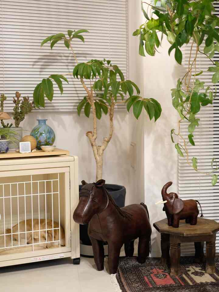 White and brown toned living room featuring a dog pet cage and leather animal objets with a natural atmosphere