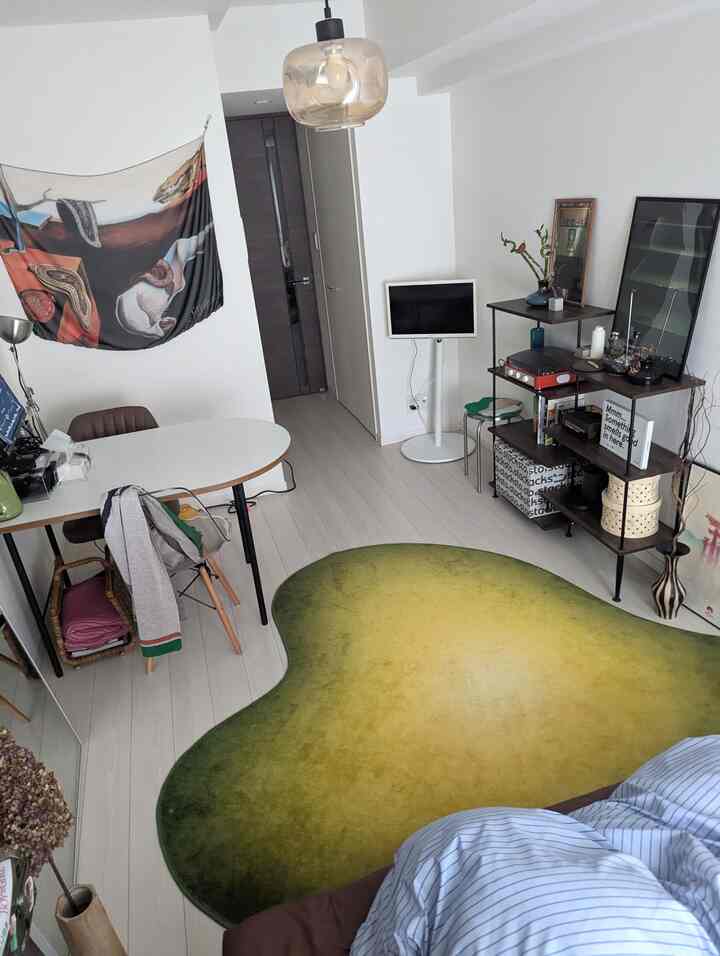 White walls and natural-toned floor with a green gradient rug and dining table in a cozy living room