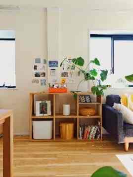 ナチュラルな色調の1LDKリビング、無印良品の棚とソファが配置され、植物がアクセントの印象的なインテリア
