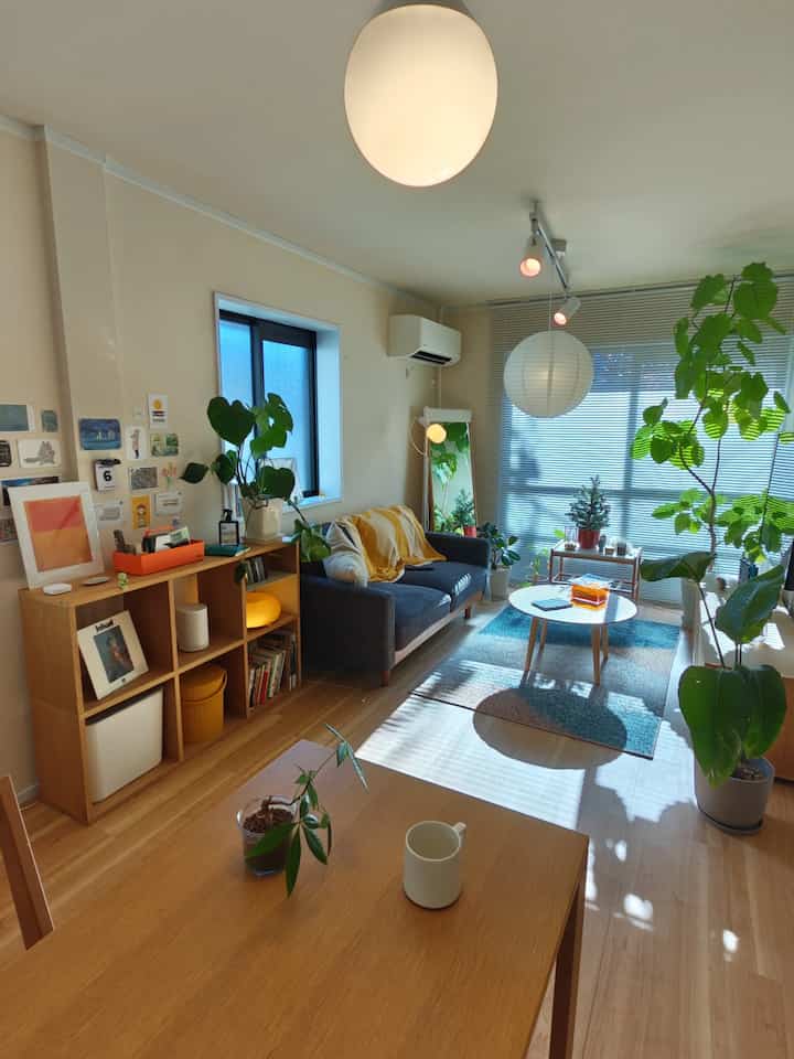 ナチュラルな木目調が特徴の1LDKリビング、ソファとコーヒーテーブル、そして多彩な植物が配置された明るく居心地の良い空間