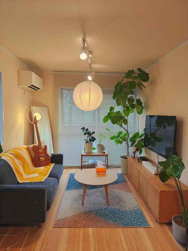 Natural color and wood tone 1LDK living room featuring a navy sofa, pendant light, and various plants creating a cozy atmosphere