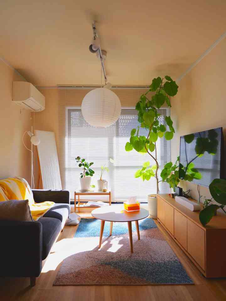 ナチュラルカラーの壁と木目調家具が調和した1LDKのリビング、ソファと大きな植物が居心地の良い雰囲気を演出する空間