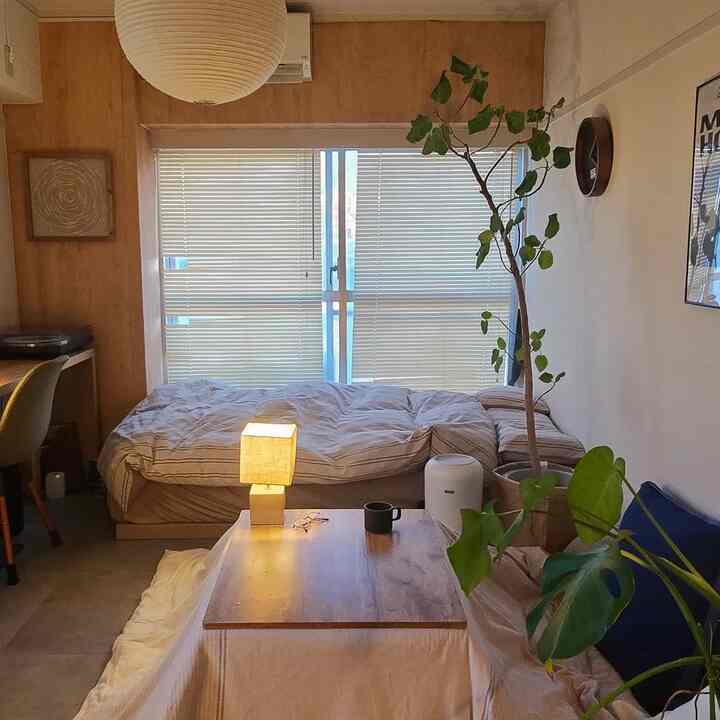 アイボリーと木目調が調和したワンルームの寝室、テーブルランプと植物が配置された落ち着いた自然な雰囲気のインテリア