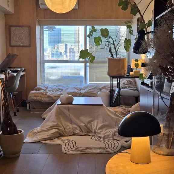 Natural-toned compact studio bedroom featuring sofa and coffee table with cozy atmosphere