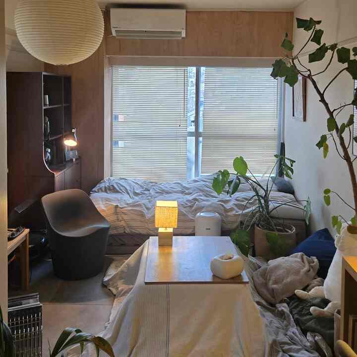 ナチュラルな木目調のワンルームリビング兼寝室、植物と温かみのある照明が配置された落ち着いた空間