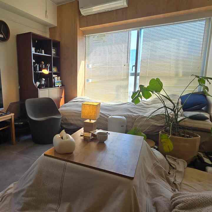 Cozy 4.5-jo studio bedroom with warm wood tones and natural colors, featuring window blinds and a large plant in a single household setting