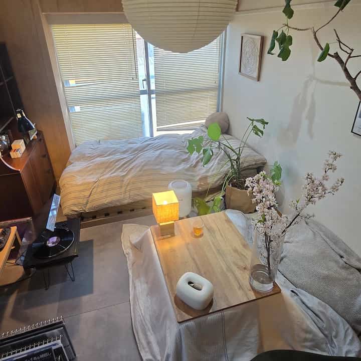 ベージュと木目調のワンルーム寝室、自然の植物とシンプルな家具が調和した雰囲気のあるインテリア