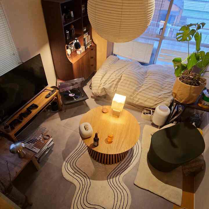 Natural wood-toned compact living room featuring a minimalist sofa, round table, and cozy layout for a single household