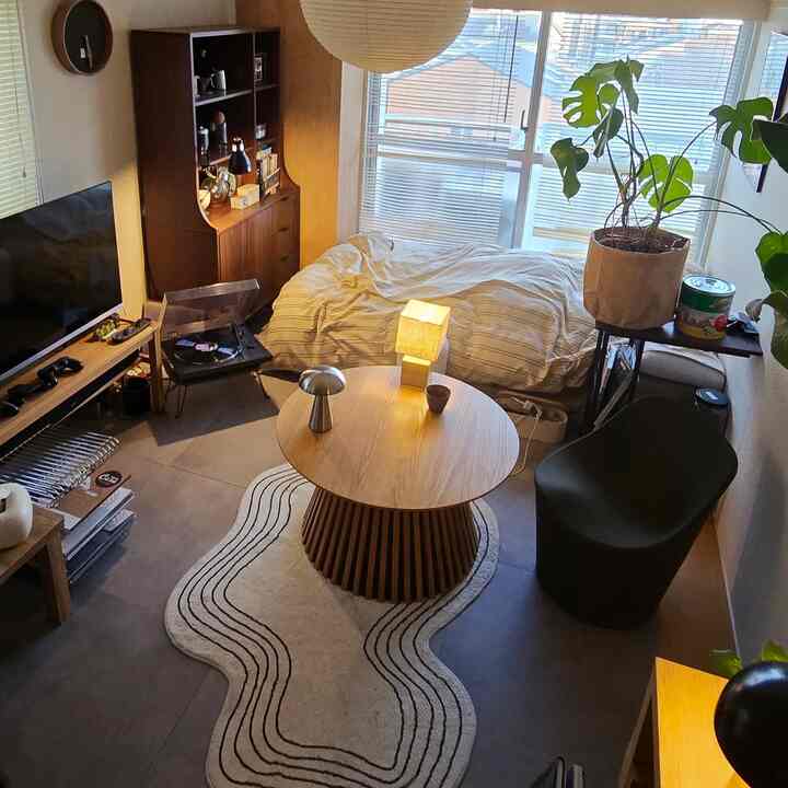 Natural brown-toned small bedroom featuring a wooden coffee table and large potted plant with a cozy atmosphere