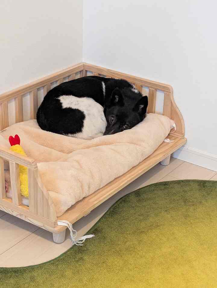 愛犬もお気に入りの #ペットベッド
#韓国ブランド #ラグ #マット #saytouche