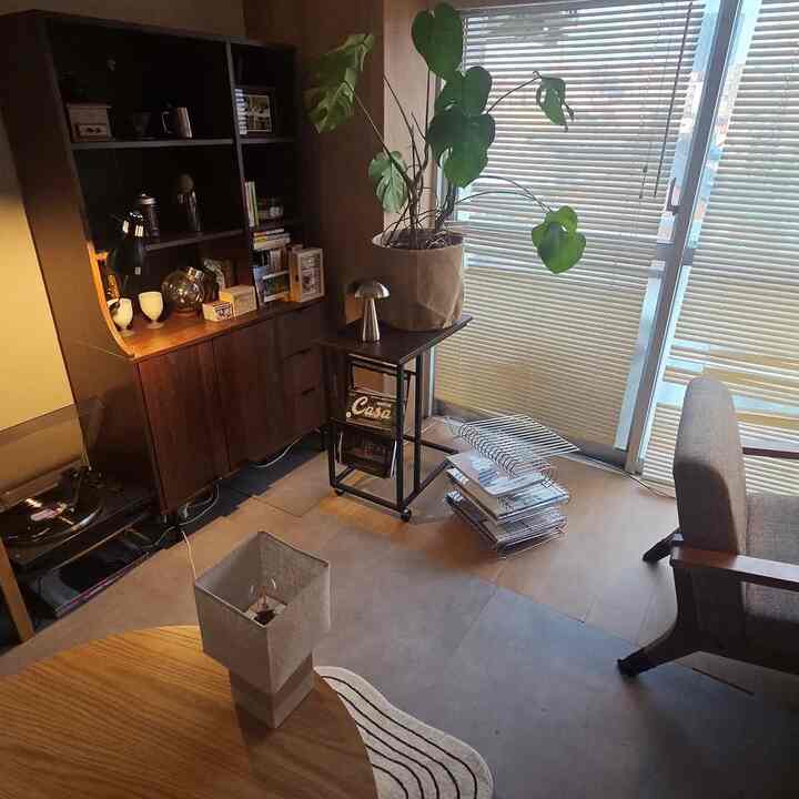 Warm brown tone living room featuring mid-century modern furniture and a green plant creating a cozy atmosphere