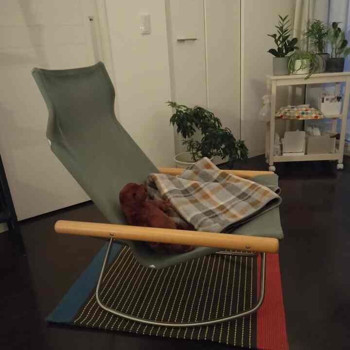 お気に入りのニーチェアエックスにぴったりのラグをIKEAで。滑り止めシートを下に敷いてます！

#IKEA　#ラグ　#ロッキングチェア　#ニーチェア