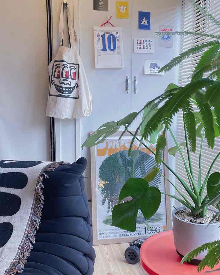 実はこの扉クローゼット この家を建てた時の言葉で言うと洋服箪笥👔

#リビング　#トーゴ　#リーンロゼ　#モンステラ　#日めくりカレンダー