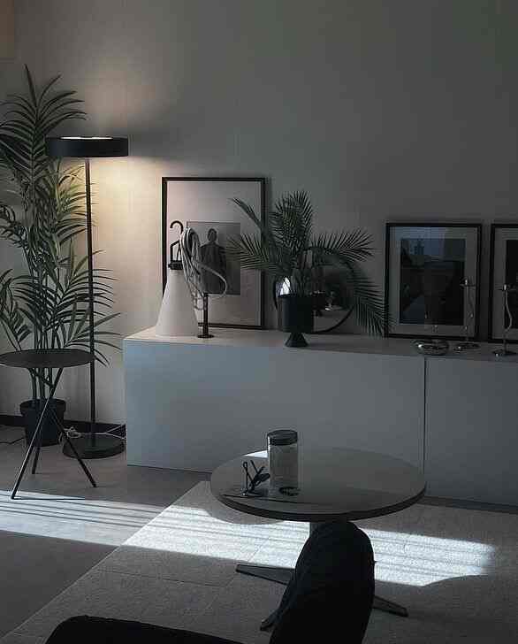 白と黒のトーンでまとめられたリビング、黒のフロアランプと額縁、人工植物が配置されたモダンで無機質な雰囲気のインテリア