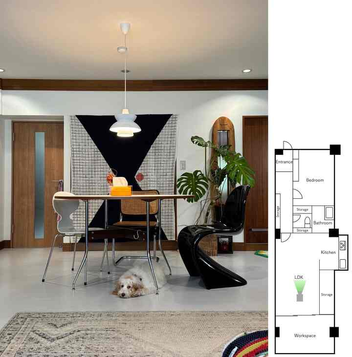 白と茶色の色調のダイニング、円形のテーブルと多様な椅子、犬がくつろぎ、植物が配された雰囲気のあるインテリア