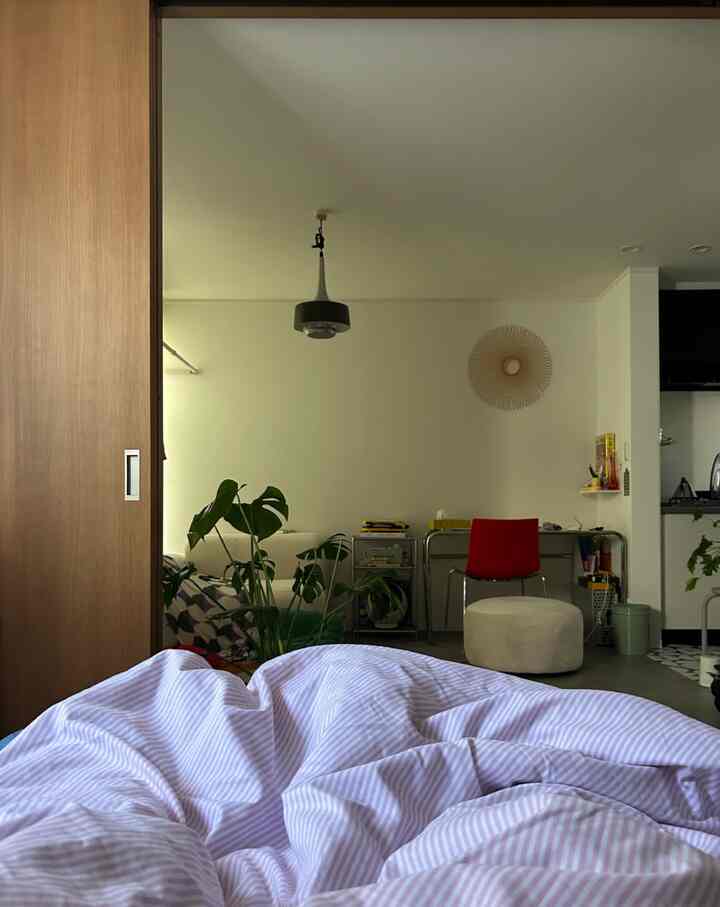 白とナチュラルな色調の寝室とリビング、赤い椅子とモンステラの植物が配置されたシンプルモダンな雰囲気のインテリア