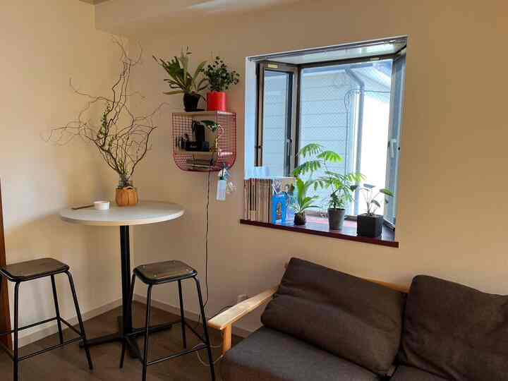 暖かみのあるブラウンと赤のトーンのワンルームダイニング兼リビング、木材と植物が調和した雰囲気のあるインテリア