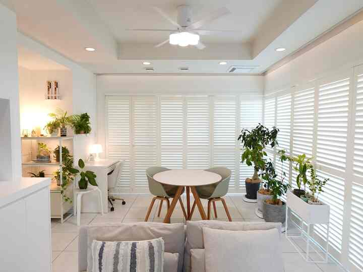 明るいホワイトトーンの1LDKダイニングとリビング、丸テーブルとペールグリーンの椅子、ソファ、植物が配置された雰囲気のある空間