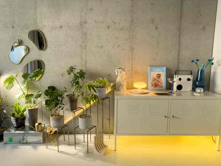 🇯🇵 1K｜フロアタイル×ゴールド×グリーンで生活感を感じさせない空間に