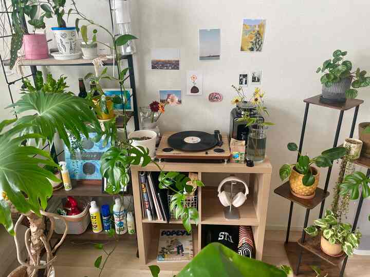 🇯🇵 3LDK｜植物と音楽の癒し空間🪴🎧6.1畳の趣味部屋でリラックス