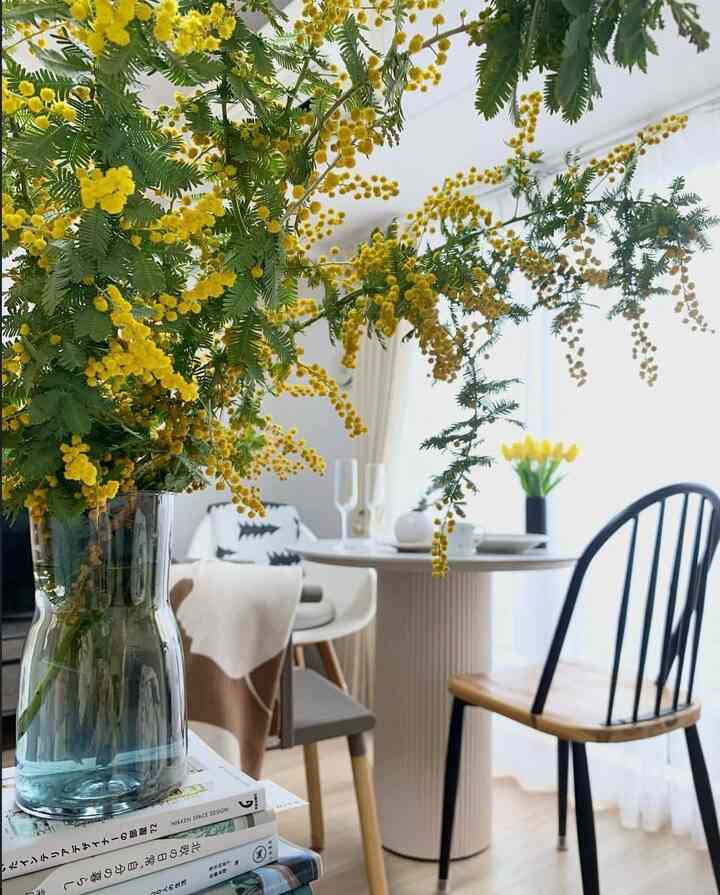 白い背景に黄色いミモザが映えるダイニング、ナチュラルな木製家具が配置された雰囲気ある空間
