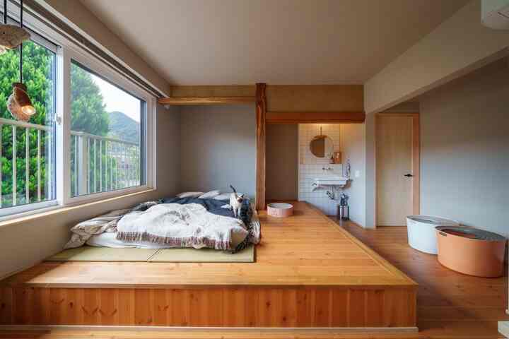 ナチュラルな木調の一人暮らし寝室、大きな窓とベッドに猫、ペット家具が配置された雰囲気のある空間